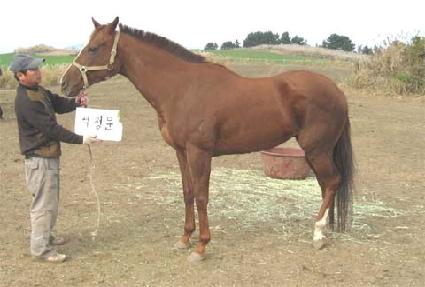 ������ ����