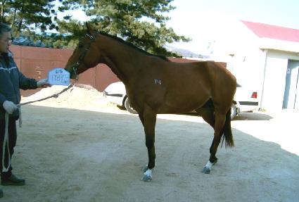 ��ǿ�ǳ ����