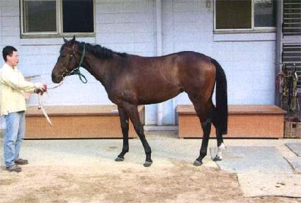 �������� ����