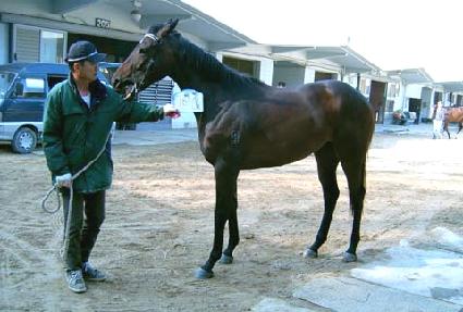 ������ ����