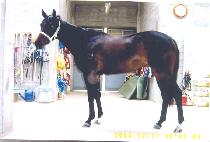 ����ô� (GANGSAN SIDAE) ����