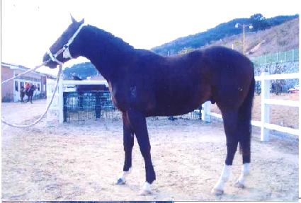 ������������ ����