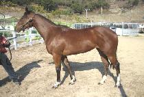 �������� (LEGEND QUEEN) ����