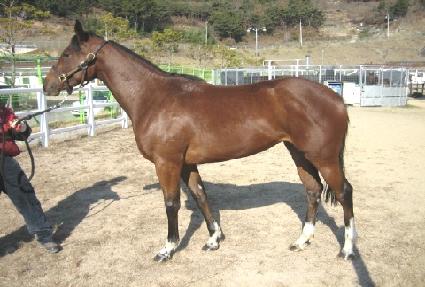 �������� ����