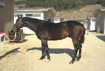 �������� (MYEONGMUN JEPAE) ����