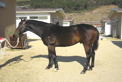 �������� ����