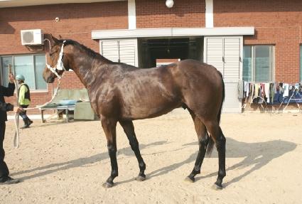 �����ũ ����