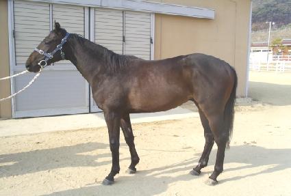 ������� ����