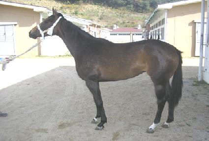 ������� ����