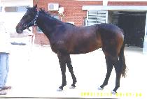 �������� (GEUKHAN JILJU) ����