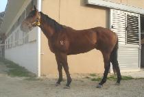 ����ȯ�� (GEUMUI HWANHYANG) ����