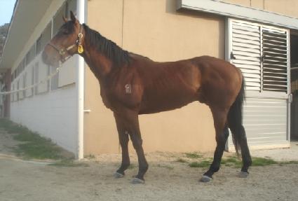 ����ȯ�� ����