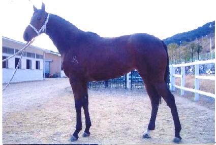 �����ϴ� ����