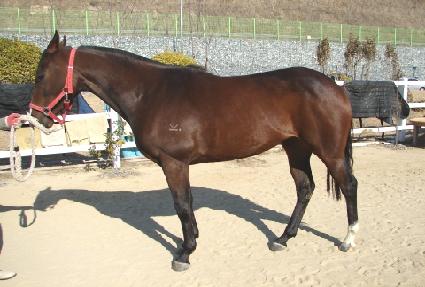 �Ҹ��ǿ�ȥ ����