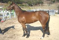 ������ (YEONGNONGHAN) ����