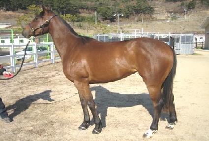 ������ ����