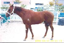 ���Ư�� (USEUNG TEUKMYEONG) ����