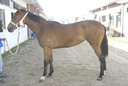 �������� ����