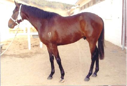 ���ó�� ����