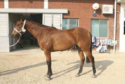 �׷���Ʈ���� ����