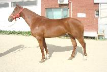 ù���� (CHEON MANNAM) ����