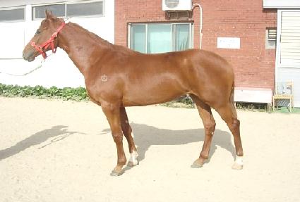 ù���� ����