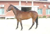 �ݺ����� (GEUMBIT NALGAE) ����