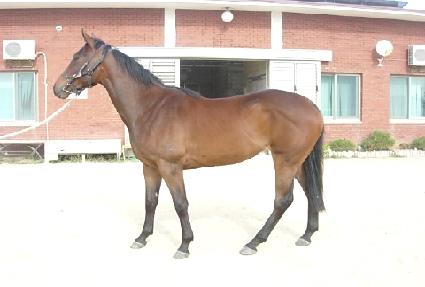 �ݺ����� ����