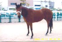 ���۾��� (YEPPEUNAI) ����