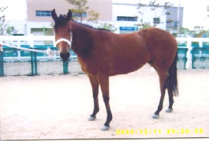 ���۾��� ����