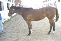 õ�� (CHEONGWANG) ����