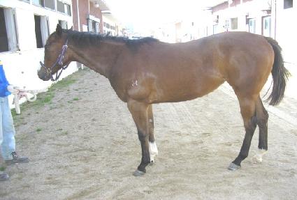 õ�� ����