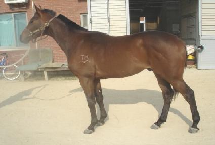 ������ ����