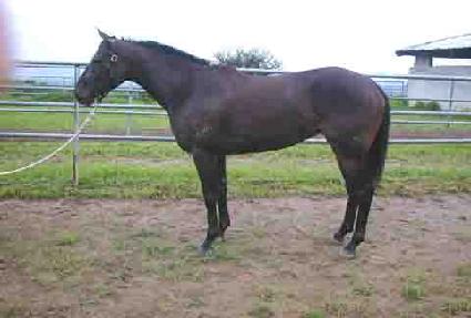 �Ű�Ÿ ����