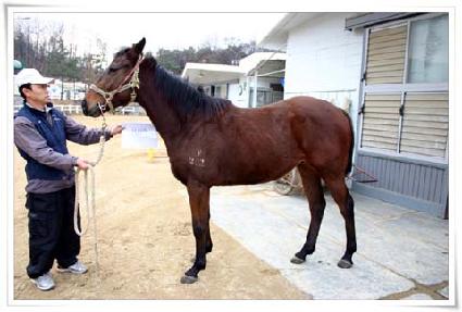 ������ ����