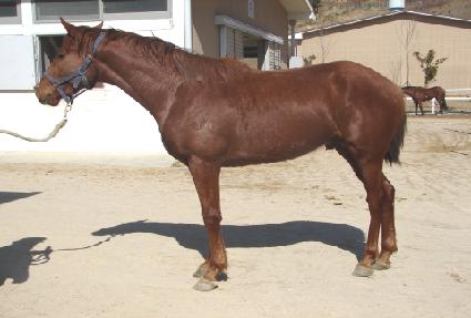 ����ź�� ����