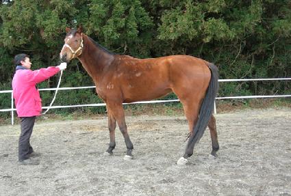 ���ǰ� ����