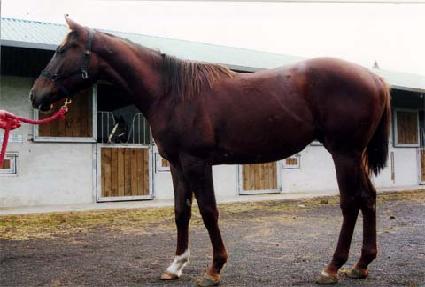 ���̴װ�� ����