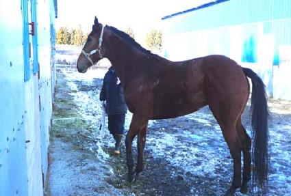 ȭ��� ����