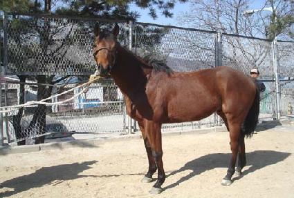 ��õ��� ����