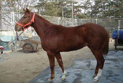 �׷��̽��� ����