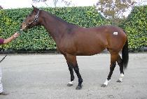 ������� (HALF FARE) ����