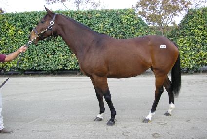 ������� ����