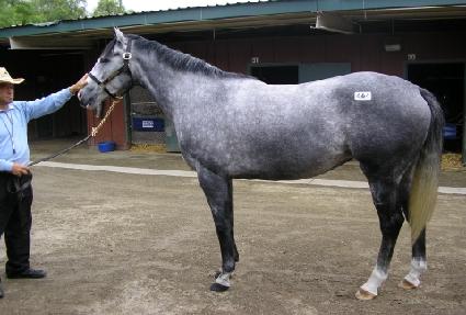 �ǹ����� ����