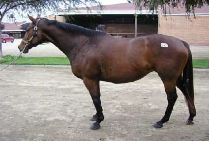 ���߾� ����