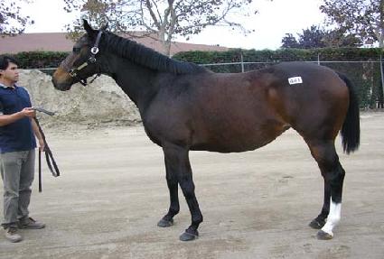 ������������ ����