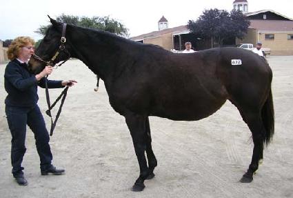 ����ũ��ž�� ����