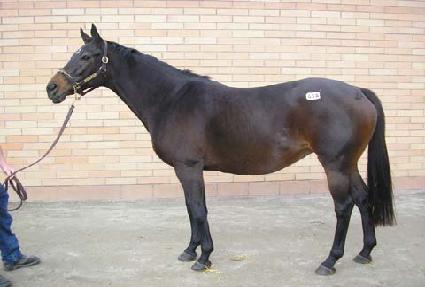 ũ�����ũ���� ����