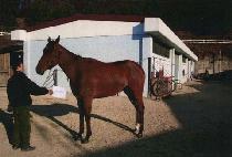 ���ٵ� (THE BARD) ����