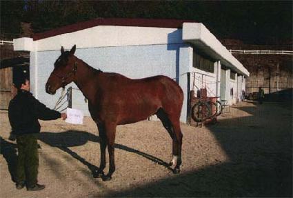 ���ٵ� ����